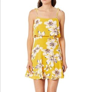 BB Dakota Floral Dress- Size 8